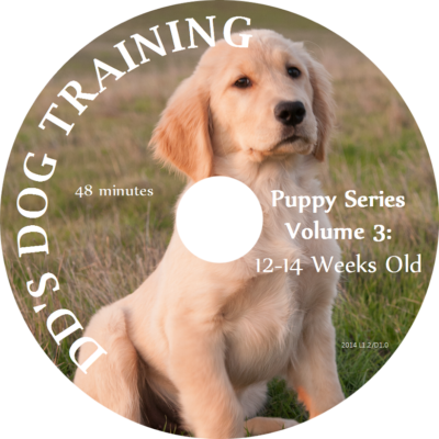 Puppy Series Volume 3 - 12-14 Weeks Old