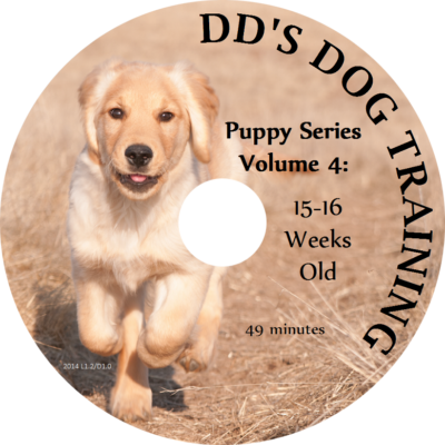 Puppy Series Volume 4 - 15-16 Weeks Old