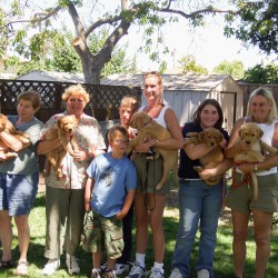 Kit's first litter first puppy class.