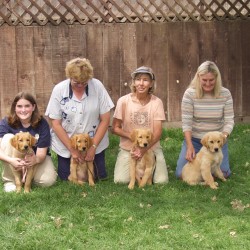 Kit's first litter second puppy class.