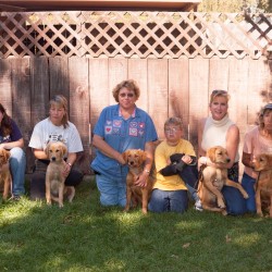 Kit's first litter third puppy class.