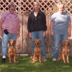 Kit's first litter fourth puppy class.