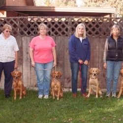 Kit's first litter fifth puppy class.