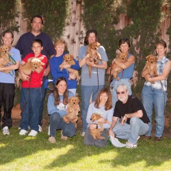 Kit's second litter first puppy class.