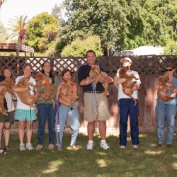 Kit's second litter second puppy class.