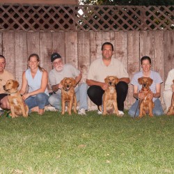 Kit's second litter third puppy class.