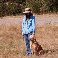 Dee Dee Anderson and Dream Field training at Jones Lake in Pescadero, CA. Photo by Chris Anderson.