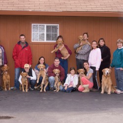 Second puppy class.