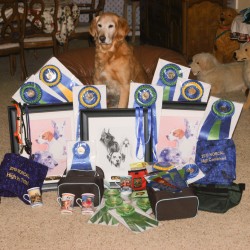 10/26/2010. Dream with her awards. Photo by Bill Anderson.