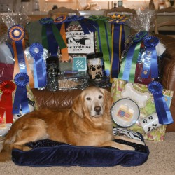 11/8/2010. Dream with her awards. Photo by Bill Anderson.