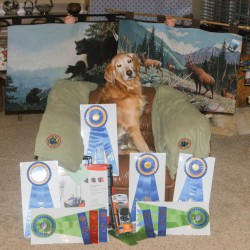 11/22/2010. Dream with her awards. Photo by Bill Anderson.