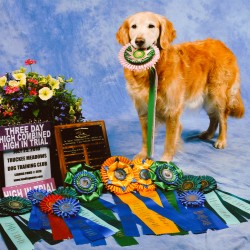 7/25/2010. Dream win High in Trial and High Combined. Photo by Leading Paws.