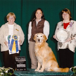 4/17/2011. Dream and Dee Dee Anderson win High in Trial and High Combined with a perfect 200 score. Photo by M. Callea.