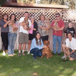 First puppy class.