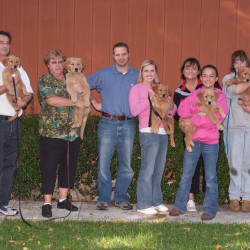 Third puppy class.