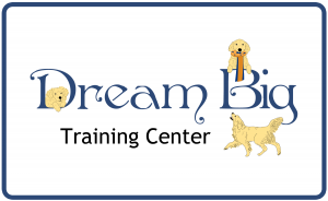 Dream Big Training Center logo