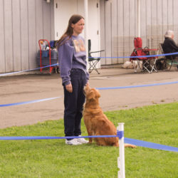 Dee Dee Anderson and Kit in Obedience.