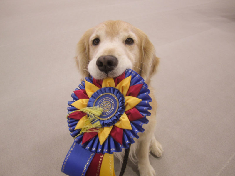 Sliver holding her 2015 RNC ribbon.