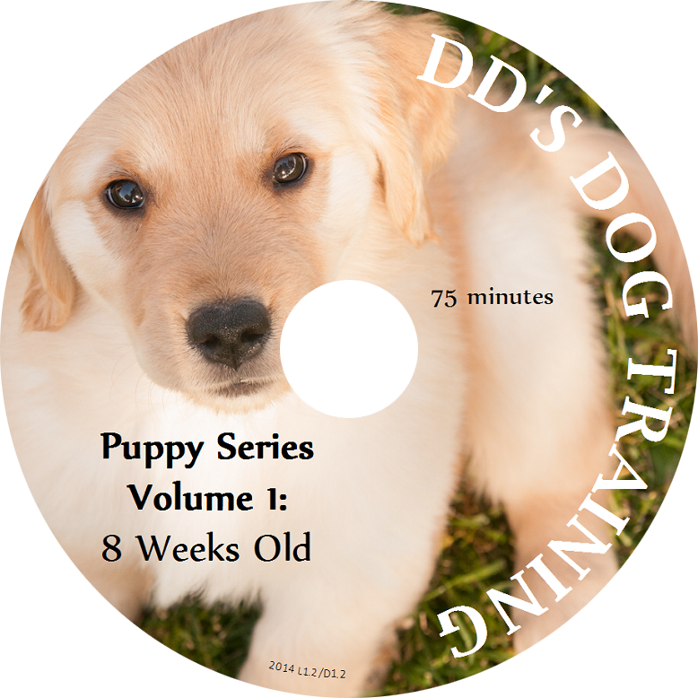 Puppy Series Volume 1: 8 Weeks Old [DVD]