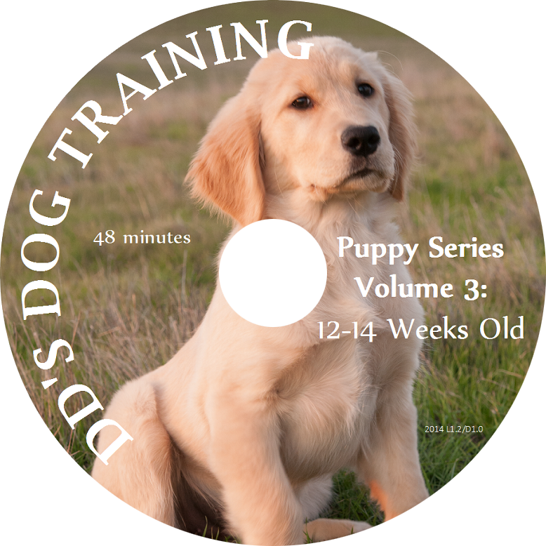 https://ddsdogtraining.com/wp-content/uploads/2015/05/Puppy-Series-Volume-3-12-14-Weeks-Old.png