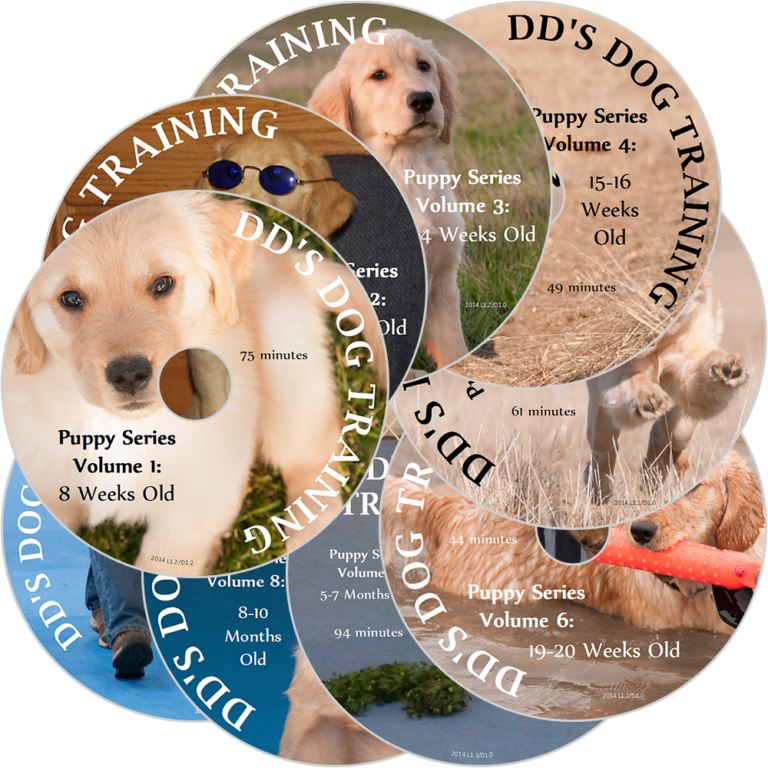 the-complete-puppy-series-volumes-1-9-9-dvd-set-dd-s-dog-training