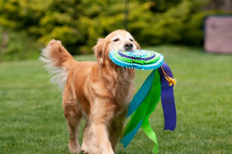 Glimmer holding a ribbon.